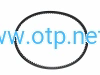 pasek_FRB (2).png