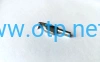 ch.jpg